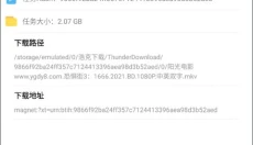 浩克下载器 截图