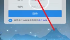 椰子接码 截图