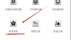 椰子接码 截图
