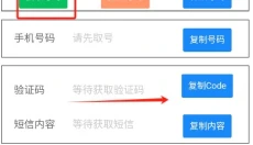 椰子接码 截图