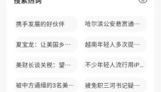 ss浏览器 截图