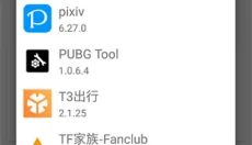 dexprotector 截图