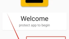 dexprotector 截图