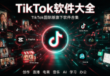 tiktok版本