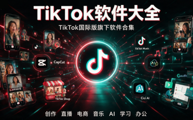 tiktok版本