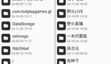 mt管理器官方正版 截图