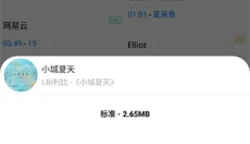 歌词适配2025 截图