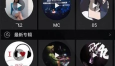 清风dj车载版 截图