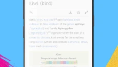 Kiwi浏览器 截图