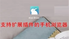Kiwi浏览器 截图