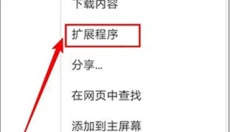 Kiwi浏览器 截图