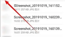 Kiwi浏览器 截图