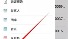 Kiwi浏览器 截图