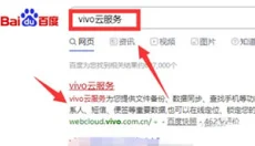 vivo云服务手机版 截图