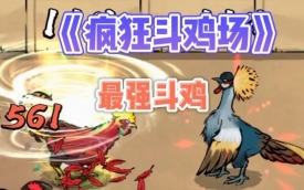 疯狂斗鸡场