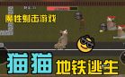 猫猫地铁逃生