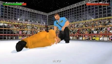 摔跤革命3D无限属性版 截图