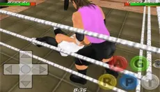 摔角革命3D汉化版 截图