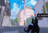 小猫咪大城市和狗狗相处一起玩球技巧